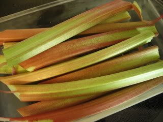 25 GLASKINS PERPETUAL RHUBARB (Pieplant) Rheum Rhabarbarum Fruit Vegetable Seeds