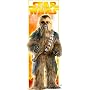 Adult's Collector's Supreme Chewbacca Costume