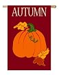 Autumn Pumpkin Regular Size Applique Flag