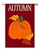 Autumn Pumpkin Applique Large Flag