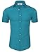 TAM WARE Men's Short Sleeve Wrinkle Free Button Down Shirt (Large, Azure)