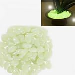 Lot de 100 - Galet Phosphorescent - L...