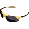 R & R Imports Kyle Busch Sport Frame Sunglasses