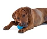 Petstages ORKA Tennis Dog Ball