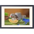 Framed Prints Of Wat-16020 Russian Dwarf Hamster - Eating Slice Of Apple From