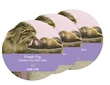 Cats Rule Freshen Up Filter Disc Fresh Fig, 3 Pack