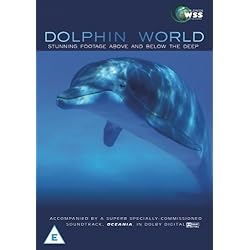 Dolphin World
