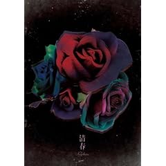 【クリックで詳細表示】CLIPS [DVD]