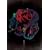 CLIPS [DVD]