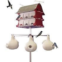 Big Bo Purple Martin Gourd
