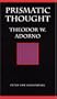 Prismatic Thought: Theodor W. Adorno (Modern German Culture and Literature)
