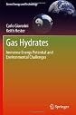 Gas hydrates : immense energy potential and environmental challenges