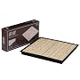 Travel Magnetic Shogi Set