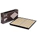 Travel Magnetic Shogi Set