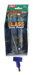 Lixit Glass Water Bottle (16 oz)
