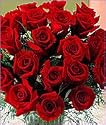 24 Red Long Stemmed Valentine Roses