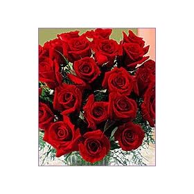 24 Red Long Stemmed Valentine Roses - Order by Feb 13th for Valentines Day Delivery