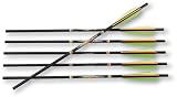 6-pk. Blackhawk® Vapor® CrossFire™ 30.06 Carbon Crossbow Bolts