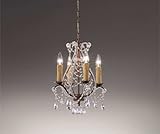 ENDO�V�����f���A