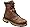 Bridle Brown