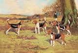 Paper poster printed on 20 x 30 stock. Beagles