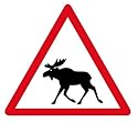 Autoaufkleber Sticker Achtung Elch NEU Aufkleber