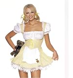 Goldilocks Costume Gingham Dress Teddy Apron