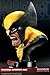 Marvel - Lifesize Bust: Wolverine (Berserker Rage)_s-4