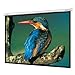 Electronics : Optoma DS-GWII9092E 92-Inch Motorized Projector Screen