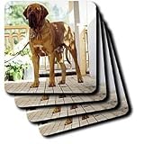 Review 3dRose LLC  / Brazilian Fila - Set Of 8 Ceramic Tile Coasters