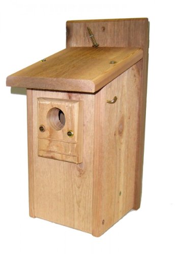 Songbird Essentials SEBEVBBH210 Bluebird Bird House