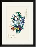 Black Framed/Matted Print 17x23, Lily Ensemble