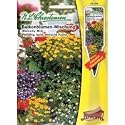 Balkonblumen-Mischung (Saatplatte inkl. Stecketikett)