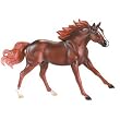 American Quarter Horse - Liver Chestnut&nbsp;