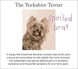 The Yorkie Birthday Greeting Card (Set of 6)
