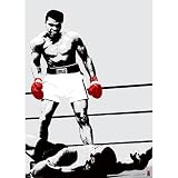 Muhammad Ali (Red Gloves, Huge) Sports Poster Print - 39x55