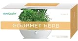 AeroGarden 3-Pod Seed Kit
