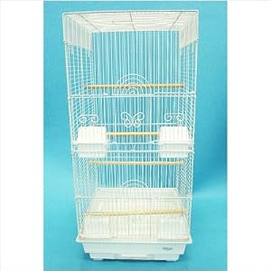 Tall Square 4 Perch Bird Cage