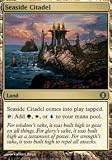 Magic the Gathering Shards of Alara - Seaside Citadel Uncommon Card 229/249