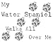 My Water Spaniel Walks All Over Me Apron
