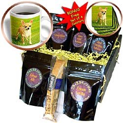 Dogs Chihuahua - Chihuahua - Coffee Gift Baskets - Coffee Gift Basket by Decaf Espresso Roast