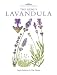 Book The Genus Lavandula