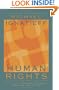 Human Rights as Politics and Idolatry: (University Center for Human Values)