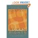 Human Rights as Politics and Idolatry: (University Center for Human Values)