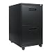 Alera PA542823BL Two-Drawer Mobile Pedestal File, 15-7/8w x 28-1/4h x 23-1/4d, Black
