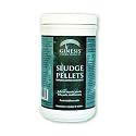 Ginesis Sludge Pellets - Natural Water Treatment for Water Gardens, Ornamental Ponds, safe for fish, pets and humans. Removes waste, muck, sludge NATURALLY AND SAFELY for backyard ponds. 1.5 lb Jug