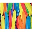 Duck Quill Feathers, 3-oz. Pack, 96 Pieces per pack
