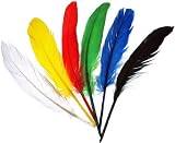 Indianerfedern, 12-15 cm, 20er-Pack
