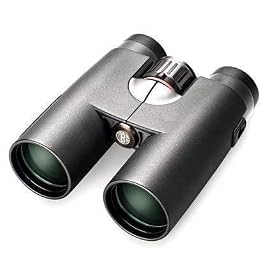 Click here to buy Bushnell Elite E2 10x42 Waterproof Fogproof Roof Prism Binocular by Bushnell.