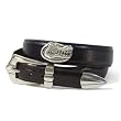 Two-Tone Brown & Black Leather Belt